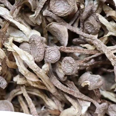 鹿茸菇批发干货不开伞菌嫩仔新货无熏硫白玉干货特产100g/500g图4