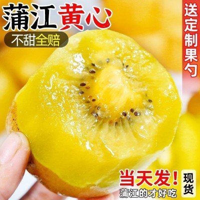 四川黄心猕猴桃新鲜水果包邮当季奇异果大果弥猴桃应季整箱泥猴桃