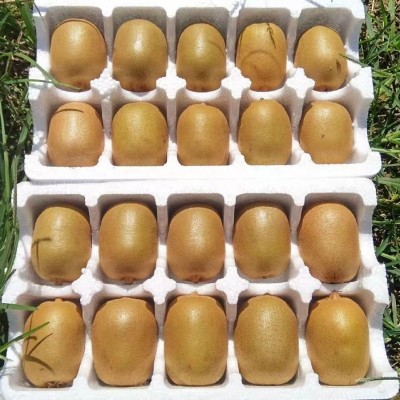 四川黄心猕猴桃新鲜水果包邮当季奇异果大果弥猴桃应季整箱泥猴桃图4