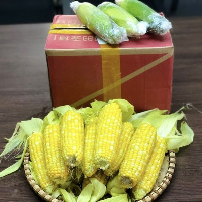 产地货源云南水果玉米8斤装甘甜多汁可生吃甜玉米棒 新鲜水果批发图3