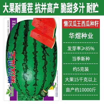 懒汉瓜王无籽大西瓜种子籽四季高产早熟脆甜多汁水果懒汉西瓜种子图3