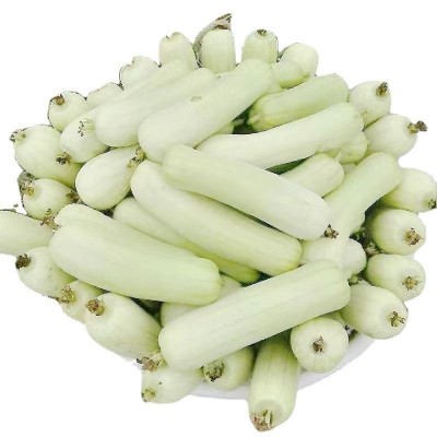 白丝瓜种子皮薄肉嫩早熟高产白玉肉丝瓜种籽农家蔬菜孑奶油耐寒图4