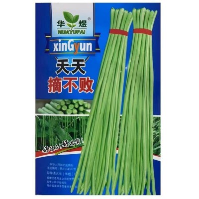 摘不败长豆角种子豇豆种春季蔬菜种子大全架豆角绿条四季豆种籽图5