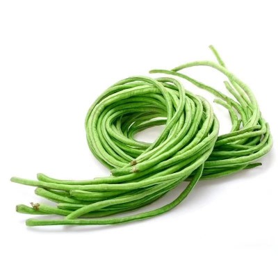 摘不败长豆角种子豇豆种春季蔬菜种子大全架豆角绿条四季豆种籽图4