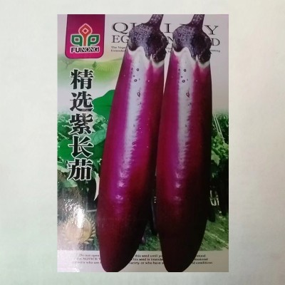 茄子种子紫红长茄种籽茄子紫色皮高产早熟四季播紫红茄王蔬菜种籽图5
