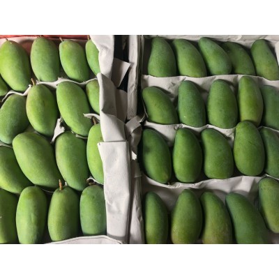 广西金煌芒果当季新鲜水果10斤水仙芒当季热带水果大青甜心芒整箱图2