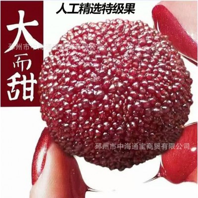冷链包邮京德福冰杨梅新鲜冰镇杨梅冰汤圆商用冻杨梅泡酒500g/包图4