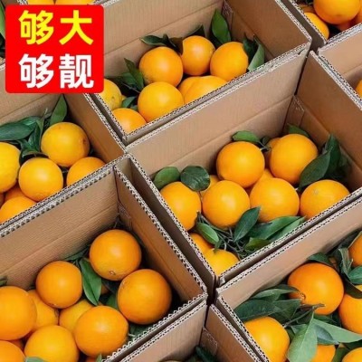 赣南脐橙5斤装孕妇水果现摘橙子批发代发礼盒装果园直发图4
