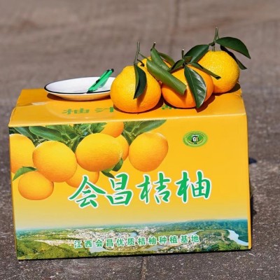 江西赣州正宗会昌甜桔柚新鲜水果现摘应季水果果园直供顺丰包邮图4