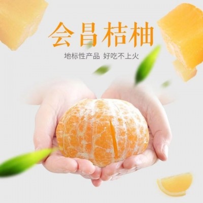 江西赣州正宗会昌甜桔柚新鲜水果现摘应季水果果园直供顺丰包邮图3