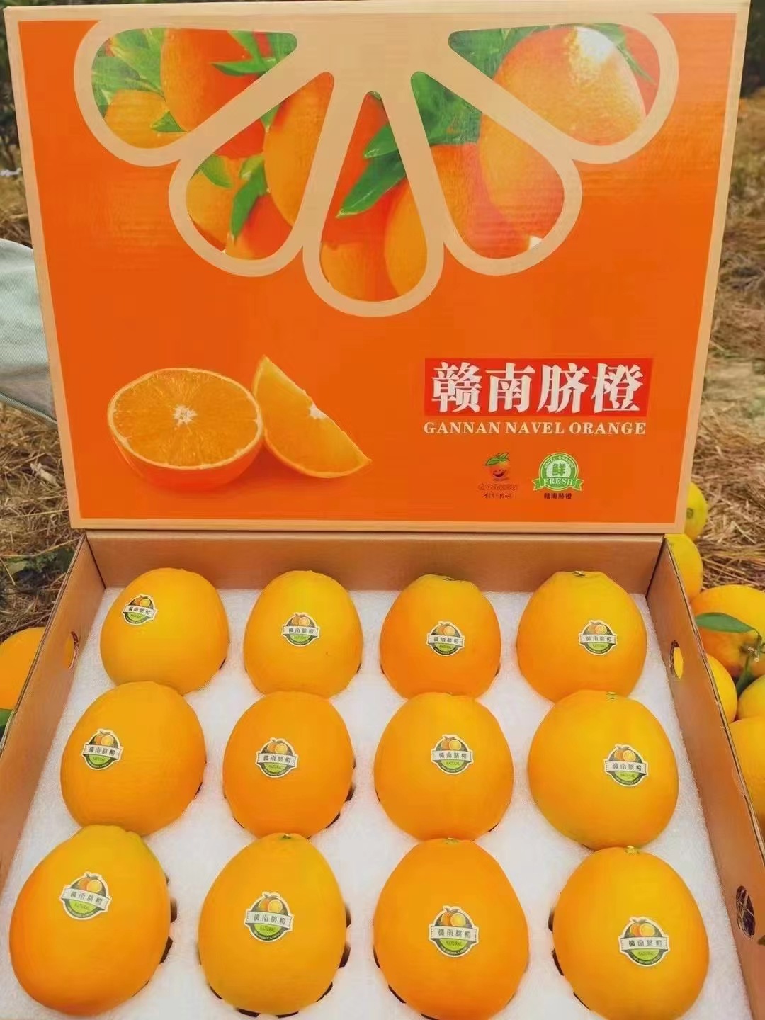 微信图片_20221115145448