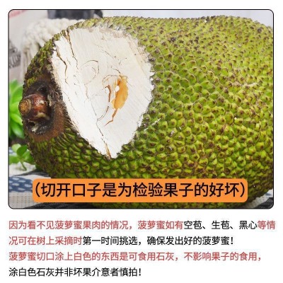 越南红肉菠萝蜜一整个装当季新鲜热带孕妇水果批发代发优势供货图2