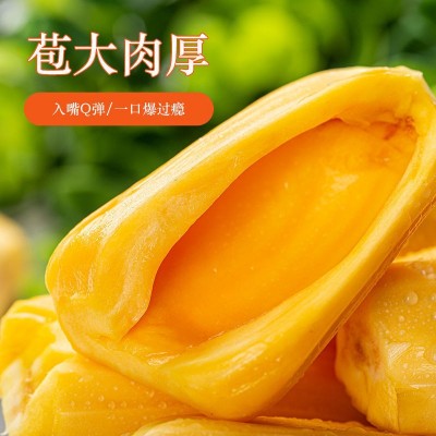越南红肉菠萝蜜一整个装当季新鲜热带孕妇水果批发代发优势供货图3
