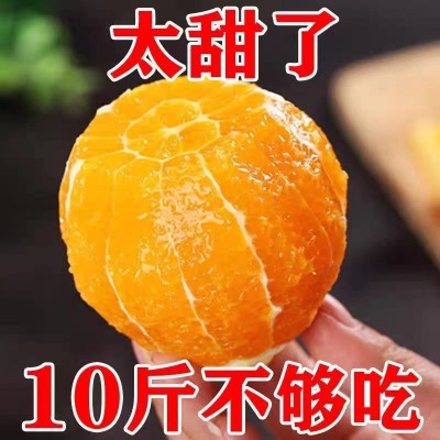 【正宗】麻阳冰糖橙10斤特级大果当季超甜橙子包邮批发新鲜水果图3