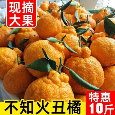 四川新鲜不知火丑橘丑柑丑桔子丑八怪当季整箱水果包邮10斤耙耙柑图2