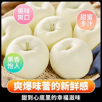 山东烟台奶油富士苹果牛奶水果脆甜冰糖正宗黄金新鲜当季整箱批发图3