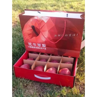 长期供应甘肃天水花牛苹果 代发3斤新鲜应季水果甜糯红蛇果图4