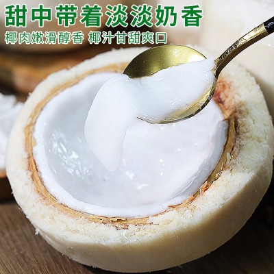 海南椰青新鲜椰子9个装当季孕妇水果椰香皇去皮香水椰子整箱包邮图5