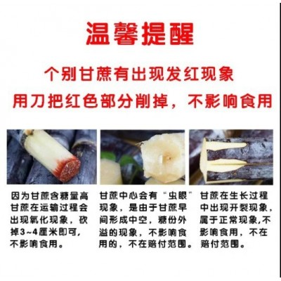 广西黑皮甘蔗新鲜9斤水果包邮应当季特产整箱水果甜柑果蔗【9斤】图3