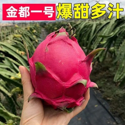 红心火龙果金都一号当季新鲜水果整箱批发火龙果大果5斤包邮送礼图2