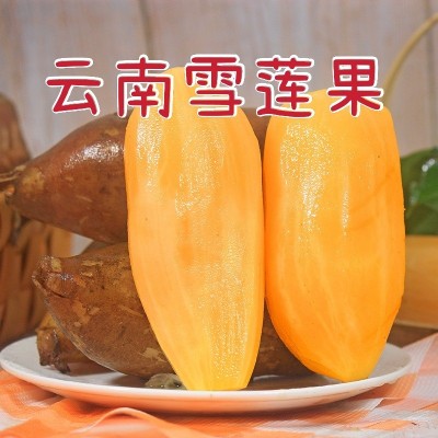 云南天山雪莲果新鲜应季水果清脆甘甜雪连果现货一件代发现 挖现发图4