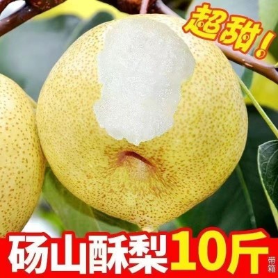 砀山冰糖酥梨新鲜应季薄皮水果黄梨鸭梨皇冠梨批发图2