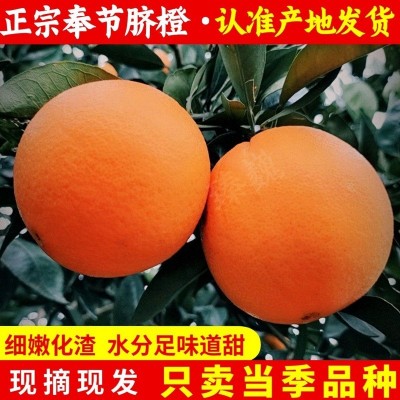 橙子重庆奉节脐橙纽荷尔现摘当季大果9斤新鲜孕妇水果整箱厂家图2