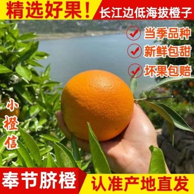 橙子重庆奉节脐橙纽荷尔现摘当季大果9斤新鲜孕妇水果整箱厂家图3