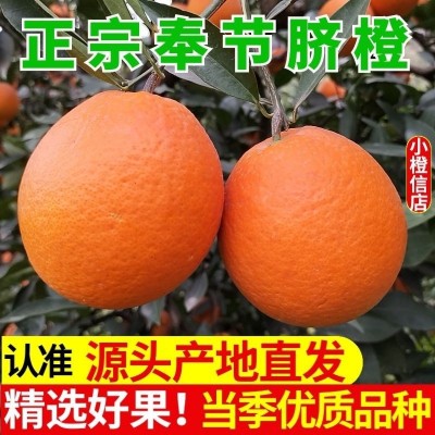 橙子重庆奉节脐橙纽荷尔现摘当季大果9斤新鲜孕妇水果整箱厂家图4