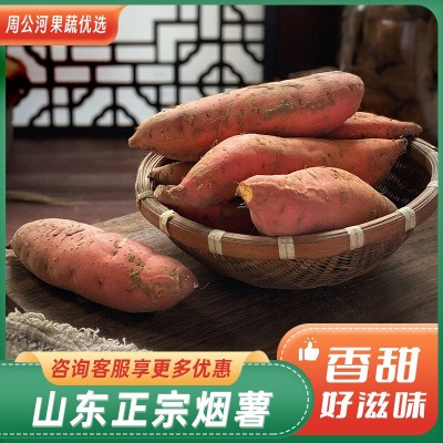正宗山东烟薯蜜薯现货一件代发3斤烤红薯糖心蜜烤地瓜番薯红薯图2