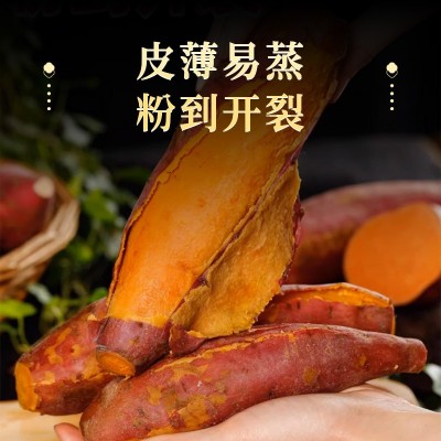 正宗山东烟薯蜜薯现货一件代发3斤烤红薯糖心蜜烤地瓜番薯红薯图3