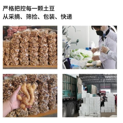 现货生姜水洗姜 山东大姜3斤 1件代发图4