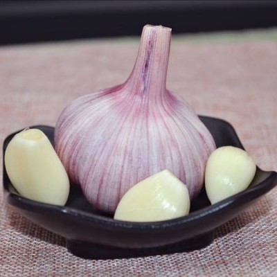 现货山东5斤紫皮干蒜批发产地紫皮大蒜头代发包邮图5