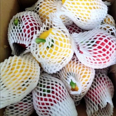 包邮新鲜山东彩椒 混色甜柿椒灯笼椒水果沙拉椒品正型好个大四季图2