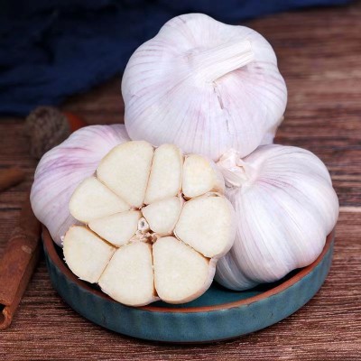 紫皮大蒜6厘米蒜王1斤山东大蒜头源头工厂批发支持各平台代发图4