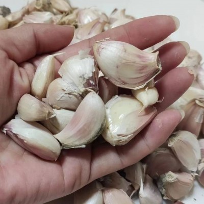金乡大蒜紫皮大小混发蒜瓣批发餐饮饭店产地一件1斤代发图2