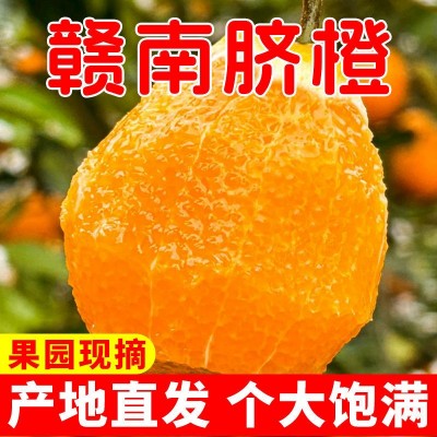 正宗赣南脐橙江西橙子果冻橙子新鲜应季水果薄皮橙子整箱批发包邮图3