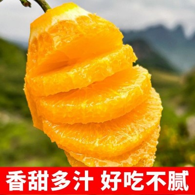 正宗赣南脐橙江西橙子果冻橙子新鲜应季水果薄皮橙子整箱批发包邮图4