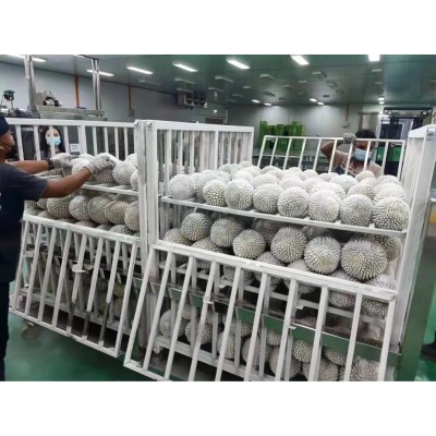 【整件批发】马来西亚猫山王榴莲D197液氮冰鲜整果可零售选果私聊图3