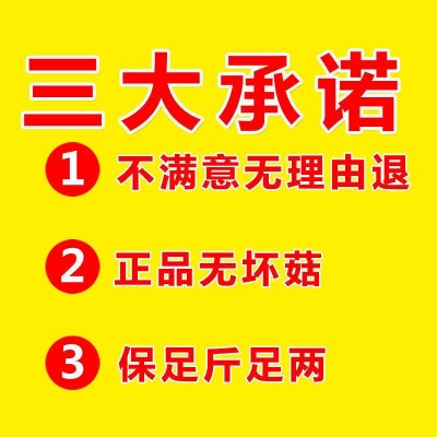 香菇干货500g干蘑菇干香菇批发椴木香菇干 农家土特产冬菇图3