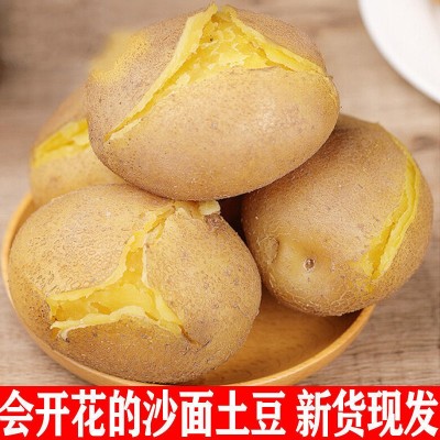 【批发价】黄皮土豆10斤批发新鲜蔬菜现挖马铃薯洋芋非红皮半个图5
