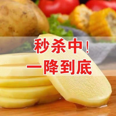 【批发价】黄皮土豆10斤批发新鲜蔬菜现挖马铃薯洋芋非红皮半个图4
