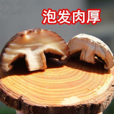 批发香菇500克干货干香菇新货蘑菇农家肉厚冬菇金钱菇图5