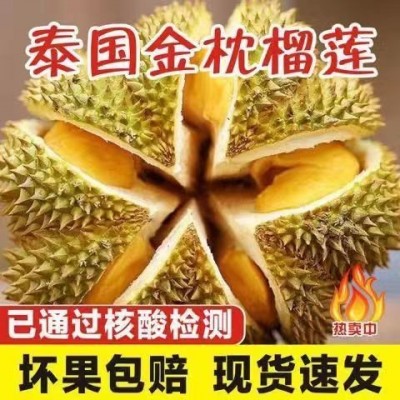 泰国金枕头榴莲鲜果带壳新鲜非甲仑榴莲非猫山王进口水果A级图5
