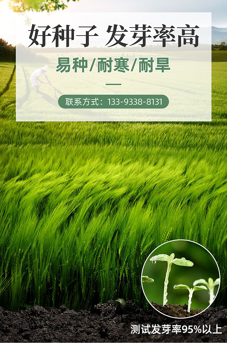 精品内页_01.jpg