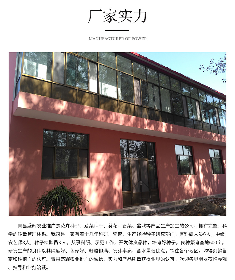 佳-番茄-大黄柿子-正 (2)