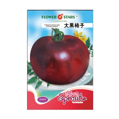 佳一番茄大黑大黄柿子番茄西红柿 大品种番茄果园蔬菜种子种植图3