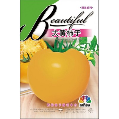 佳一番茄大黑大黄柿子番茄西红柿 大品种番茄果园蔬菜种子种植图5