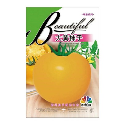 佳一番茄大黑大黄柿子番茄西红柿 大品种番茄果园蔬菜种子种植图4