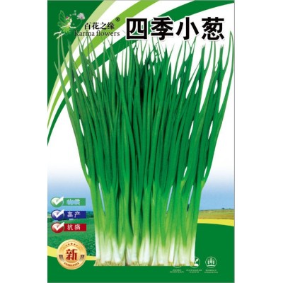 厂家供应 百花之缘 四季小葱-盛辉种子批发大货品佳图5